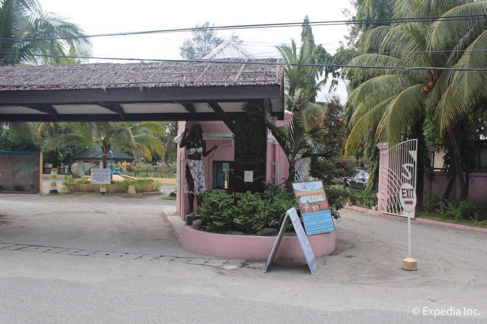 Wild Orchid Olongapo
